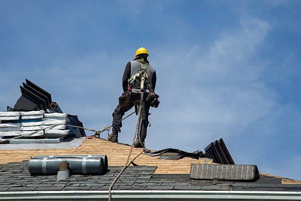 Professional Roof Replacement technician working in Max Meadows, VA